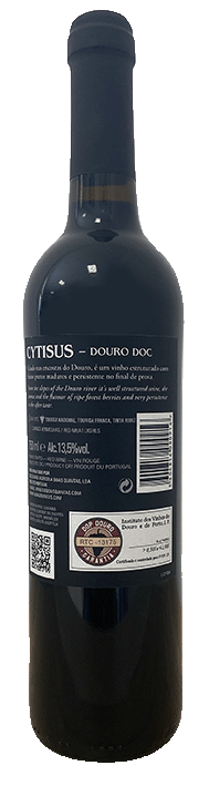 Cytisus