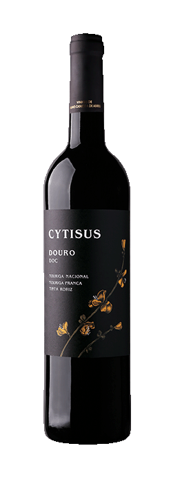 Cytisus - De laatsten!